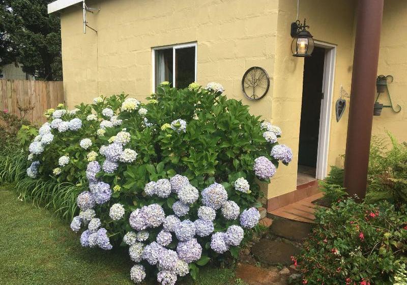 פנסיון Cabin&cottage Kaapsehoop