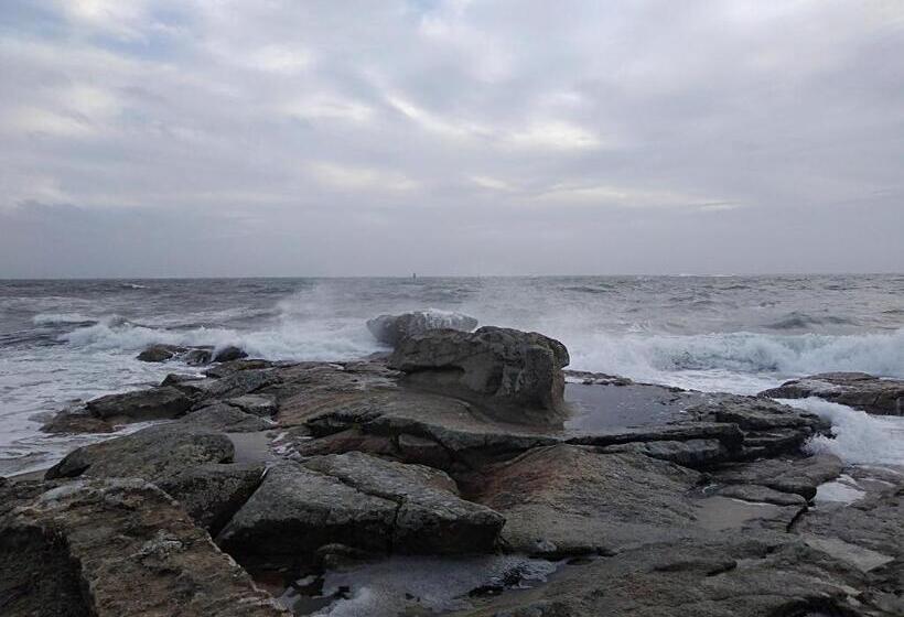 膳宿费 La Rose Des Mers