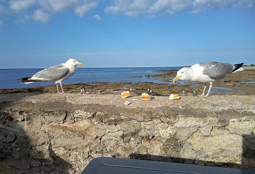 膳宿费 La Rose Des Mers
