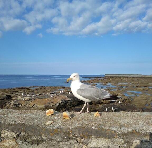 膳宿费 La Rose Des Mers