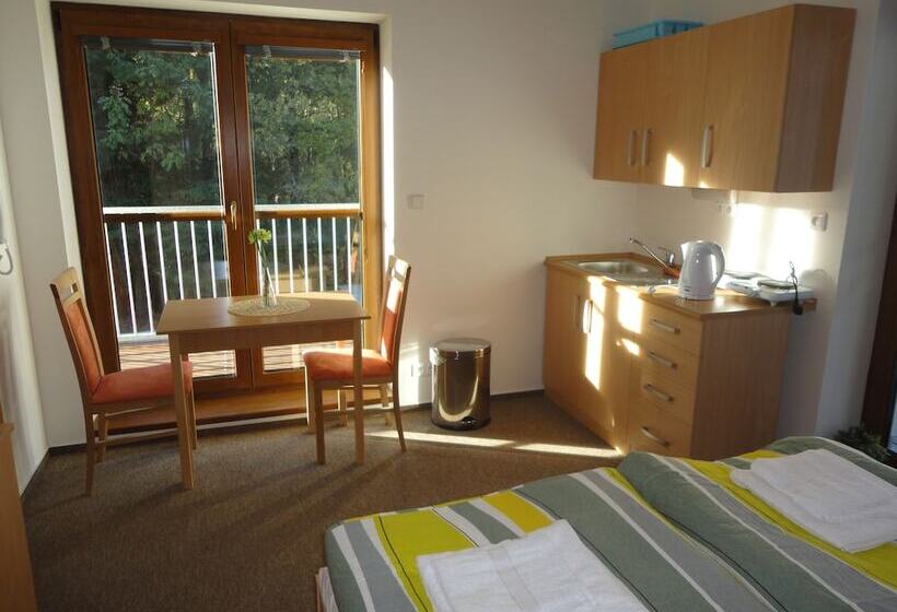 פנסיון Penzion Dominik