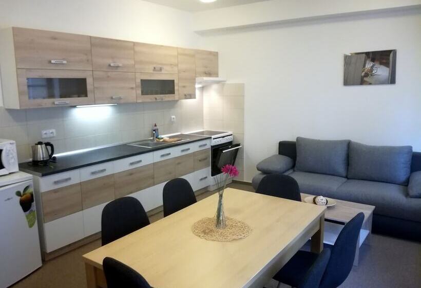 פנסיון Penzion Dominik