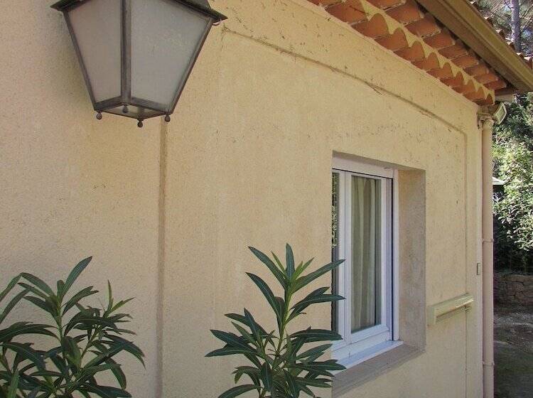 פנסיון Royal Palmeraie