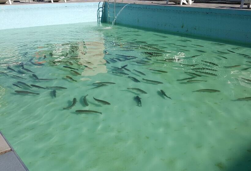 پانسیون World Village Poolvilla