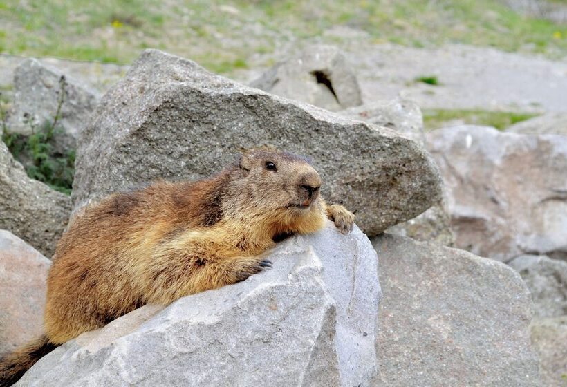 リゾートホテル Vvf Résidence Méribel Les 3 Vallées