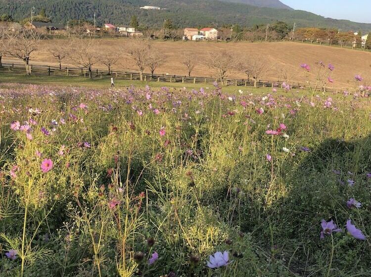 旅館 Villa Montpetre