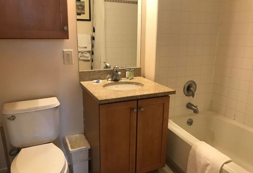 Skyview Luxury Suites New York City