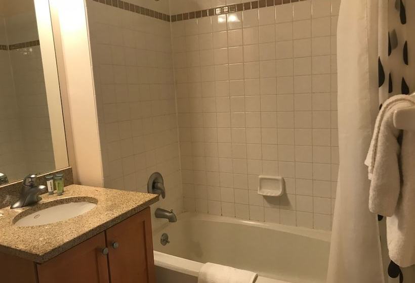 Skyview Luxury Suites New York City