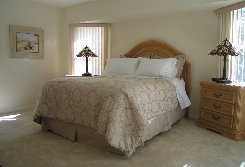 Sunny Daze Rotonda West