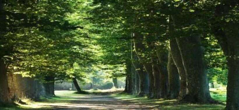 ホテル Abbaye Ecole De Soreze