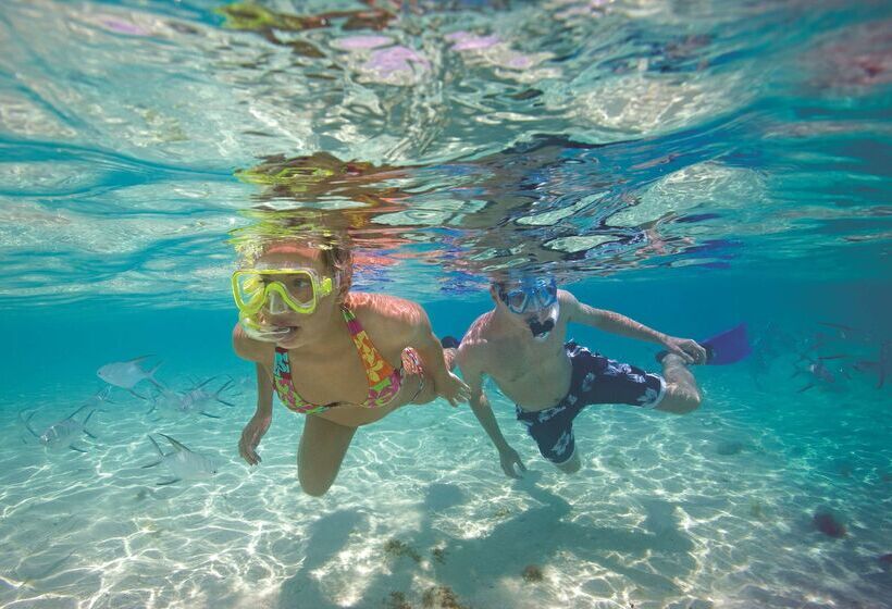 酒店 Allegro Cozumel All Inclusive