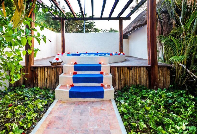 هتل Allegro Cozumel All Inclusive