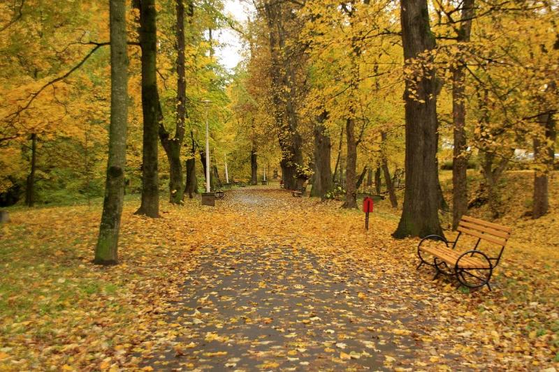 호텔 Best Western Silva