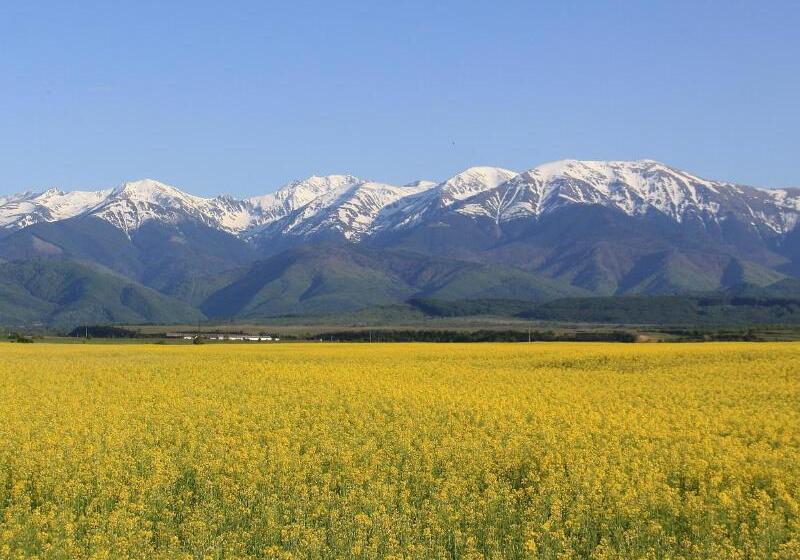 호텔 Best Western Silva