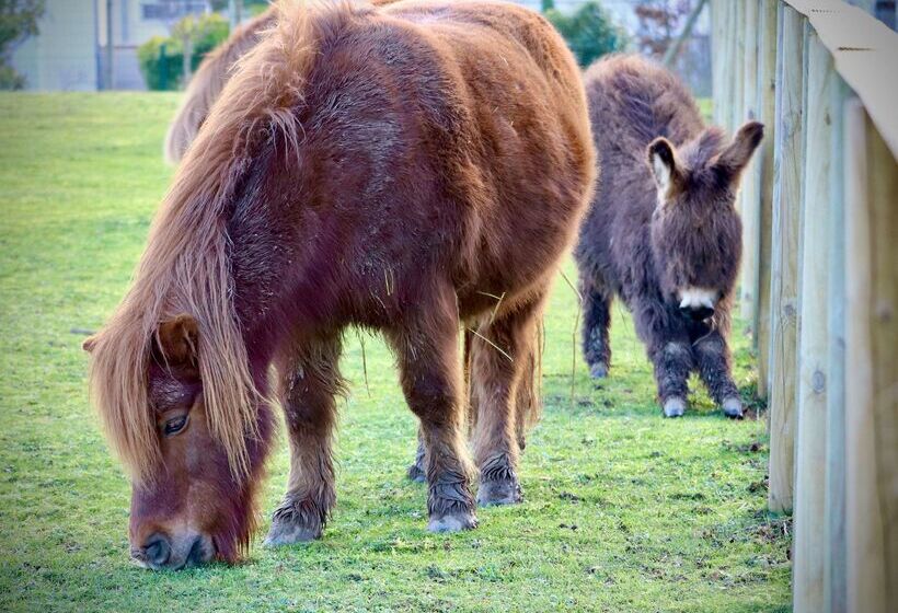酒店 Campanile Val De France