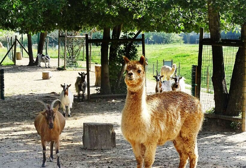 酒店 Campanile Val De France