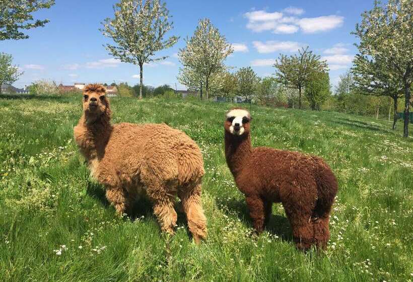 酒店 Campanile Val De France