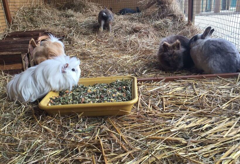 酒店 Campanile Val De France