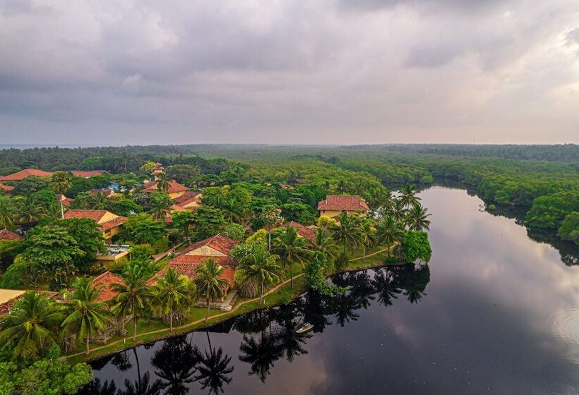 ホテル Club Palm Bay