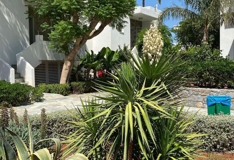 酒店 Sentido Kyknos Beach Adults Only