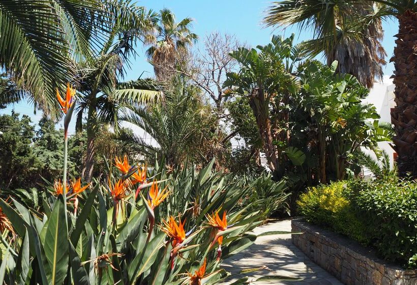 酒店 Sentido Kyknos Beach Adults Only