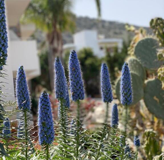 酒店 Sentido Kyknos Beach Adults Only