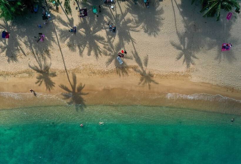 酒店 Coral Cliff Beach Resort Samui   Sha Plus