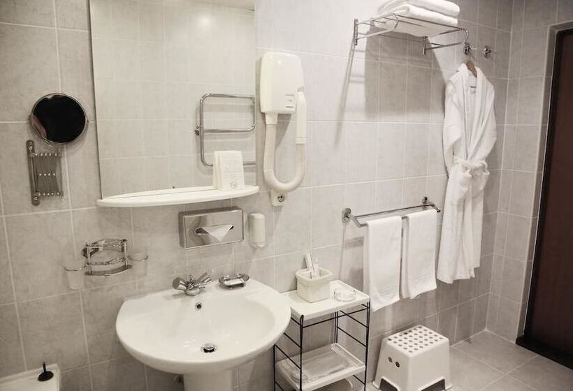 هتل Dis President