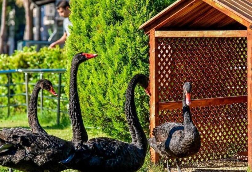 בית מלון כפרי Dobedan World Palace