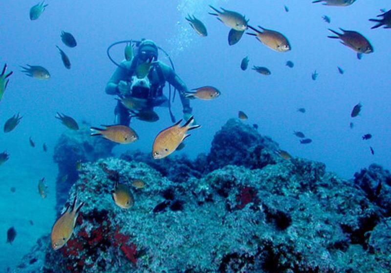 酒店 Dom Pedro Garajau