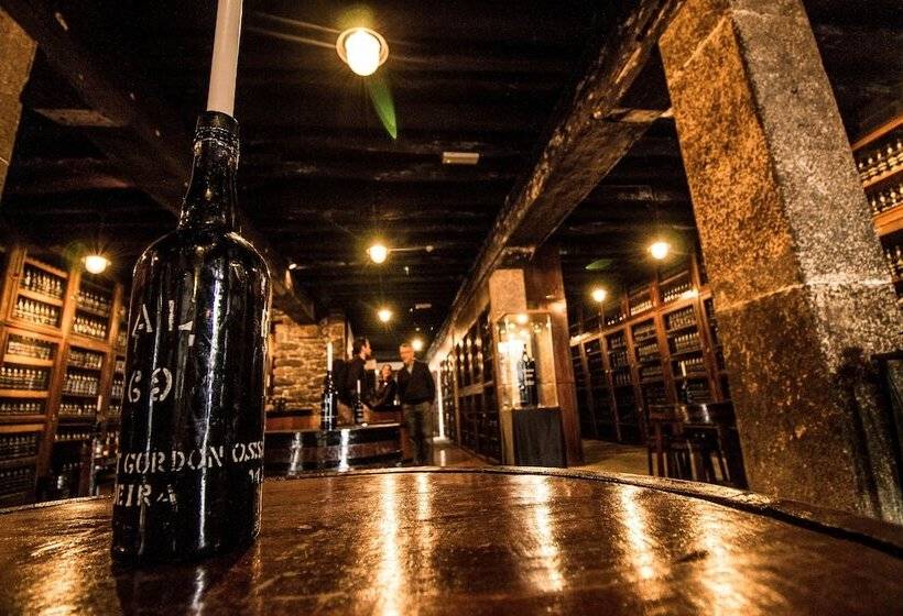 هتل Dorisol Mimosa Studio