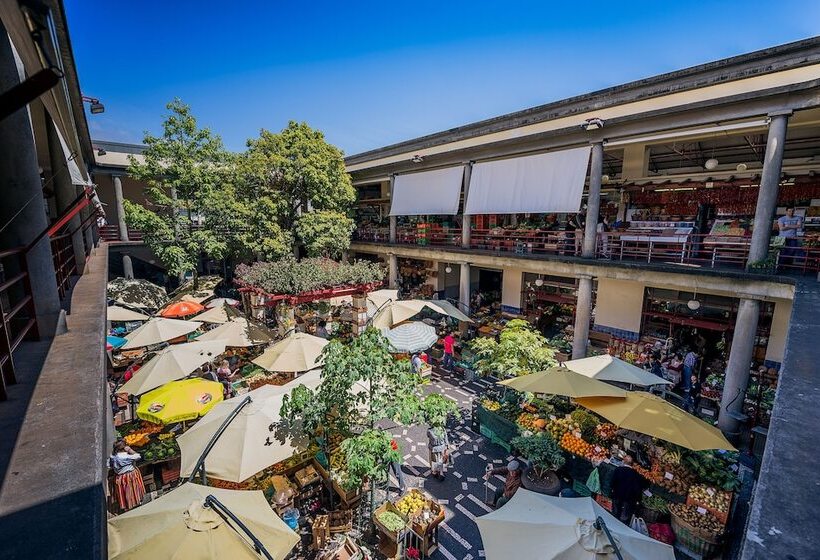 هتل Dorisol Mimosa Studio