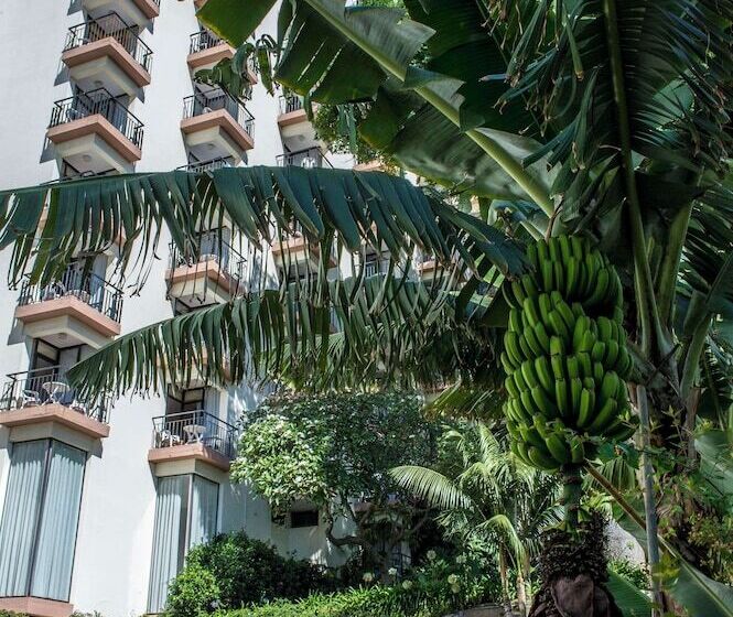 هتل Dorisol Mimosa Studio