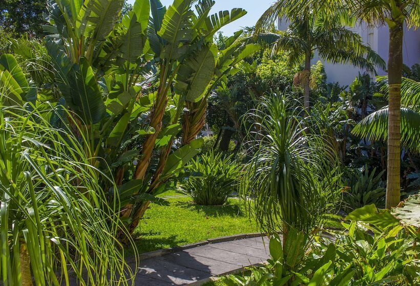 هتل Dorisol Mimosa Studio