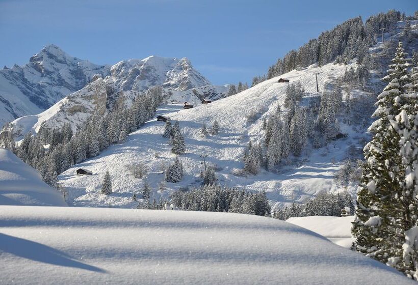 Отель Edelweiss Superior