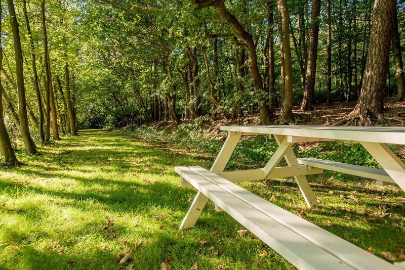 酒店 Ernst Sillem Hoeve