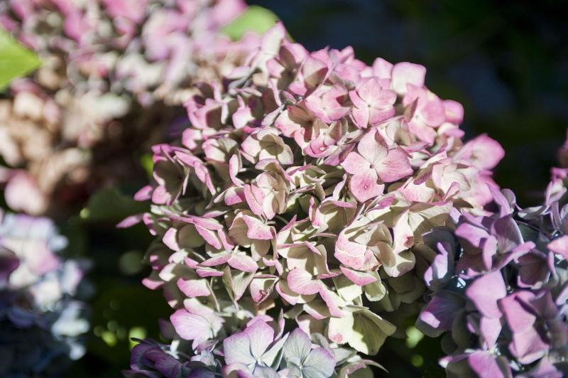 酒店 Ernst Sillem Hoeve