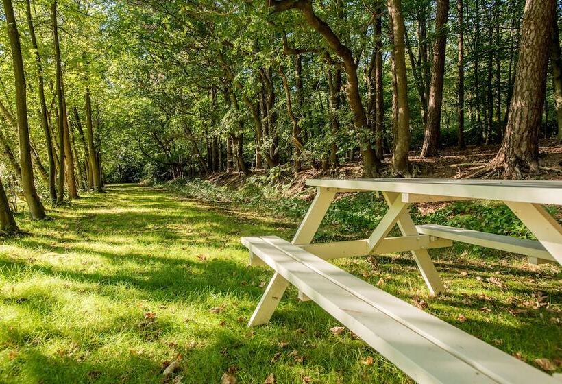 酒店 Ernst Sillem Hoeve