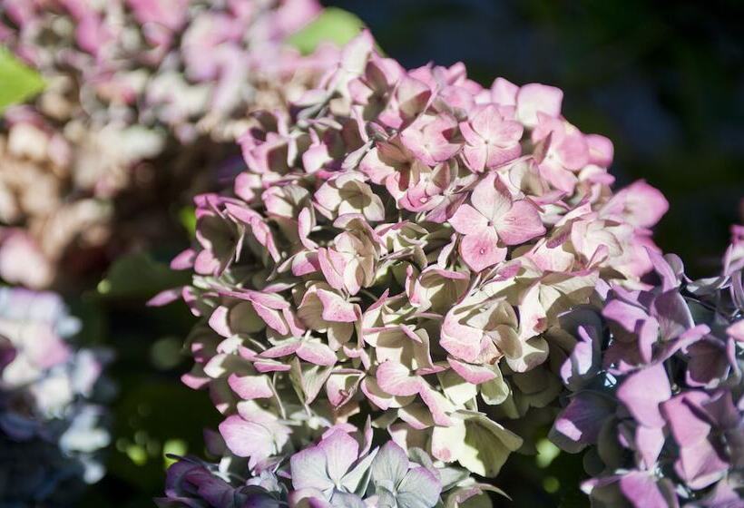 酒店 Ernst Sillem Hoeve