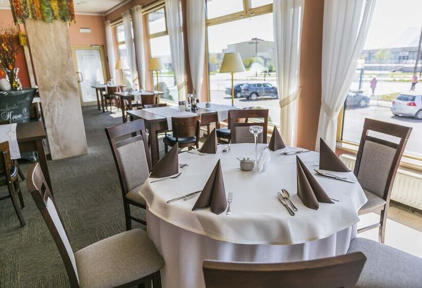 בית מלון כפרי Festival