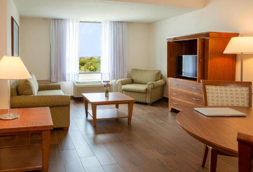 酒店 Fiesta Inn Tampico