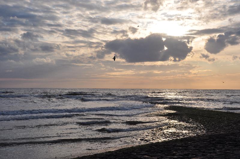 Fletcher Hotel Jan Van Scorel