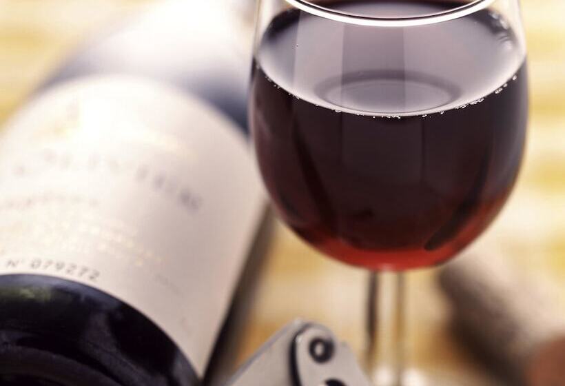 酒店 Ibis Den Haag City Centre