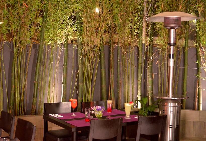 Laila Hotel Cdmx Reforma