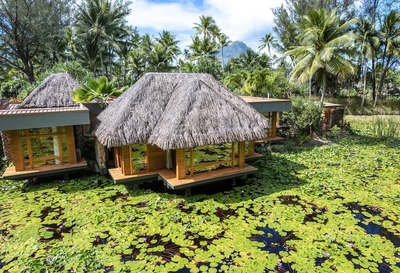 בית מלון כפרי Le Bora Bora By Pearl Resorts