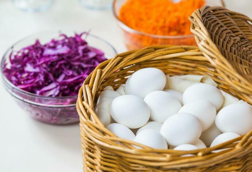 בית מלון כפרי President