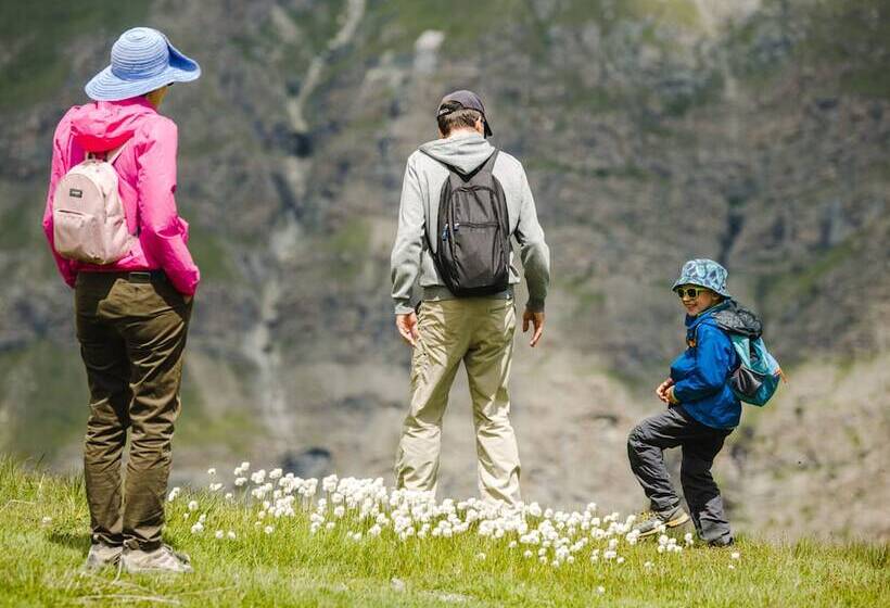 Resort Hotel Alex Zermatt