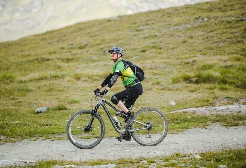 Resort Hotel Alex Zermatt