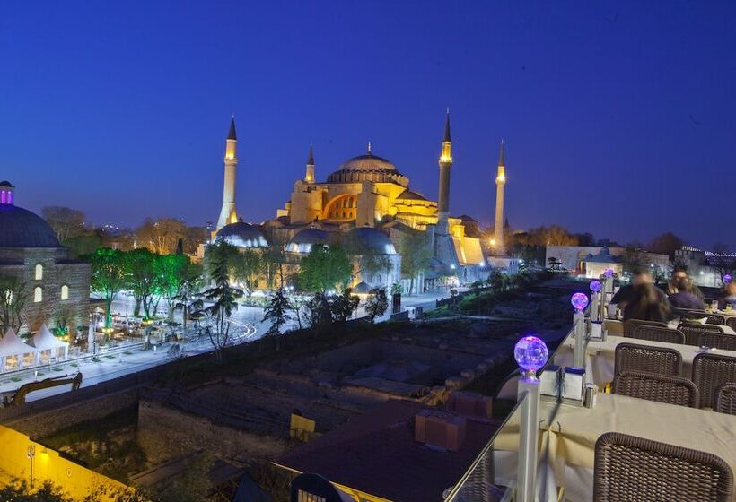 Seven Hills Hotel   Special Category