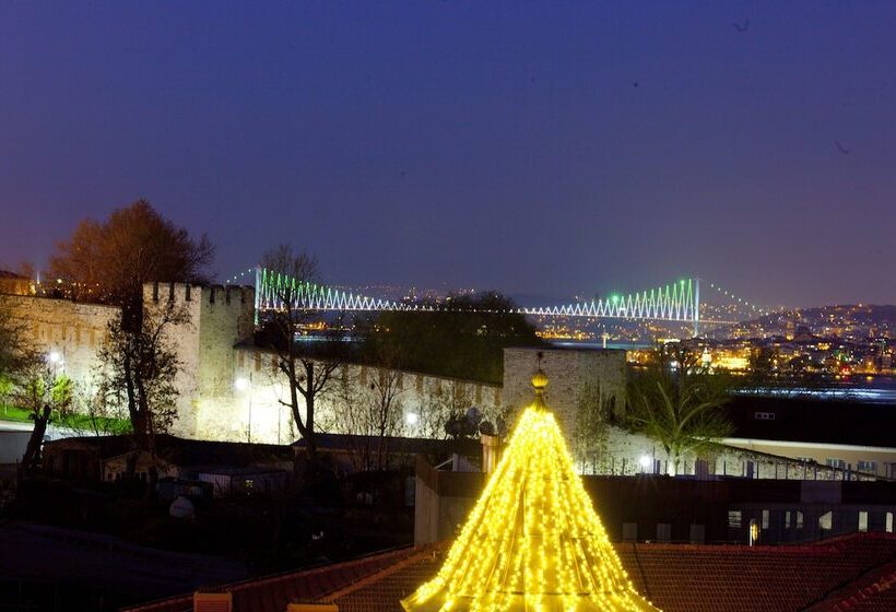 Seven Hills Hotel   Special Category